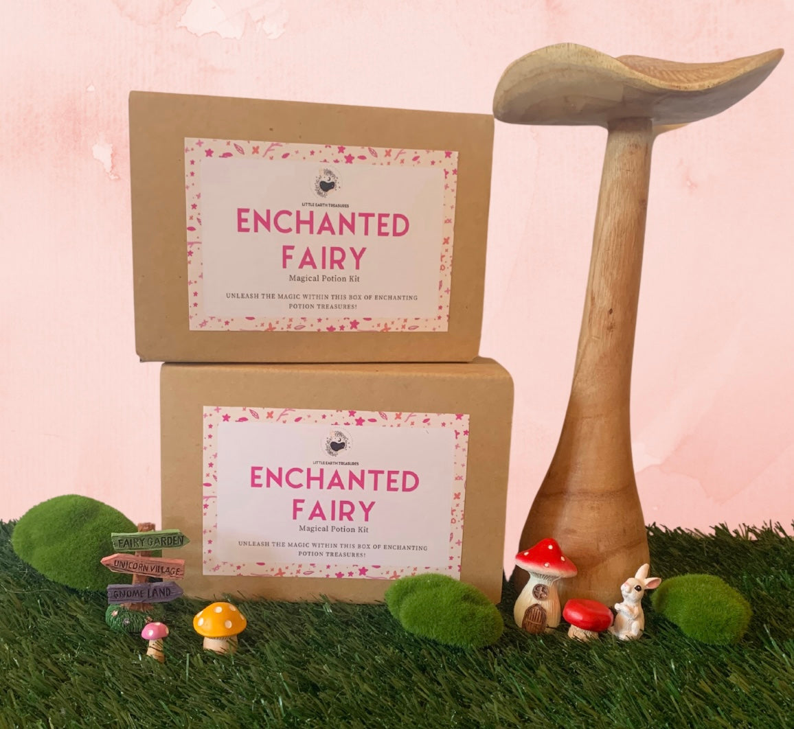 Enchanted fairy potion kit